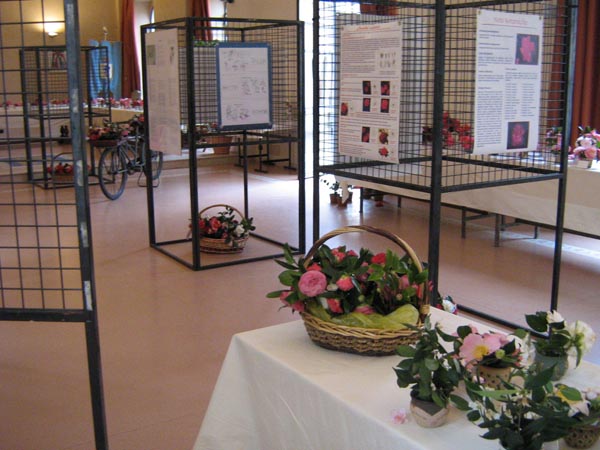 Angera mostra 2008